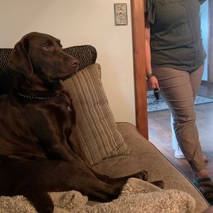 Meet your Posher, Brian